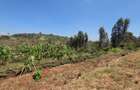 Land in Ngong - 4