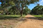 500 m² Land at Kikambala - 16