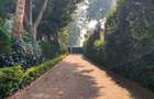 5 Bed House with En Suite in Lavington - 6