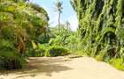 Land at Mtwapa - 9