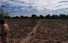 13 ac Land at Majaoni - 5