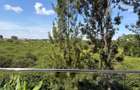 Furnished Studio Apartment with Parking in Runda - 2