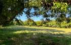 Land in Vipingo - 12