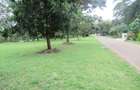 Residential Land at Karen - 13