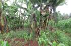 Residential Land at Gacharage Junction - 7