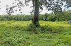 Land in Vipingo - 15