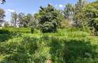 1.1 ac Land in Karen - 1