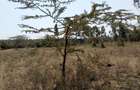 Residential Land at Merisho Road - 7