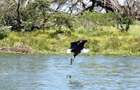 6 ac Commercial Land in Naivasha - 9