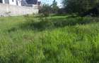 0.25 ac Residential Land in Ongata Rongai - 1
