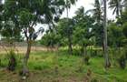 1,012 m² Land at Kikambala Beach - 5