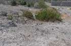 Land in Watamu - 13