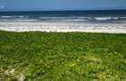 Land at Kilifi Bofa Beach - 15