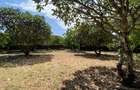 2 ac Land in Nyali Area - 2
