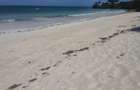 Land at Diani - 6
