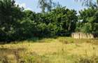 Land at Kilifi Town - 1