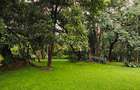 6 Bed House with Staff Quarters at Kitisuru Road - 4