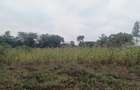 Residential Land at Kamiti Ridge - 6