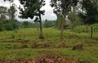 Residential Land at Mokoyot Close - 15