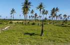Land in Kilifi - 5