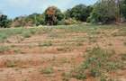 Land in Kilifi - 7