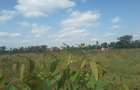 3 ac Land in Ongata Rongai - 10