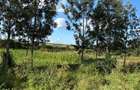 Land in Juja - 8