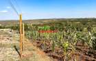 0.05 ha Residential Land at Kamangu - 8