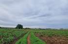Land at Utalii - Vipingo - 6