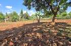 Residential Land at Flem Tree - 12