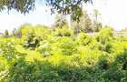 Land at Diani Beach Rd - 8