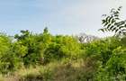 Land in Diani - 15