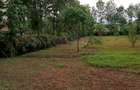 0.5 ac Land at Ololua - 7