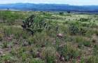 1.999 ac Commercial Land in Gilgil - 4