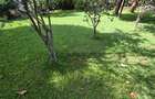 Land in Kileleshwa - 8