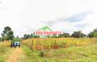 0.05 ha Residential Land in Kikuyu Town - 4