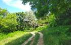 Land at Kuruwitu Beach Vipingo - 20