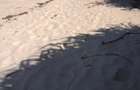 Land at Diani - 9