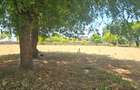 5 ac Land at Utange - 8