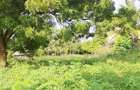Land at Diani Beach Road - 12