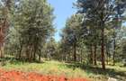 500 m² Residential Land at Ruiru-Githunguri Road - 11