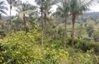 10 ac Land at Ls2295 - 8
