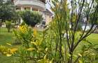 5 Bed House with En Suite in Runda - 18