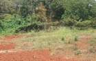 0.5 ac Residential Land at Muthithi - 12