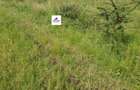 15 ac Land in Mlolongo - 8