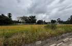 1 ac Residential Land in Karen - 5