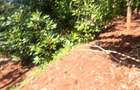 1.0 ac Land at Kandara Road - 13