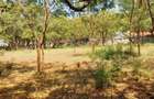 Land in Nyali Area - 10