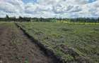 0.040 ha Residential Land in Nanyuki - 3