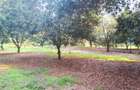 0.125 ac Residential Land at Juja Gatundu Road - 30